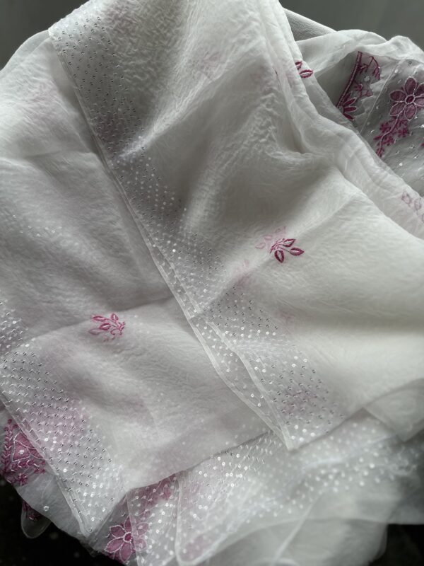 Noor Organza Applique Chikankari kurta and dupatta set  with fine lucknowi chikankari - Image 7